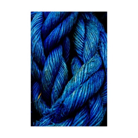 Francisco Ross 'Blue Rope' Canvas Art,30x47